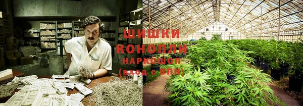 бошки Бронницы