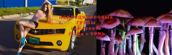 круглые Бородино