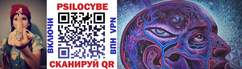 Купить закладки  Мглин  Галлюциногенные грибы Psilocybe 